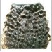 Curly Non remy Hair Extensions 22